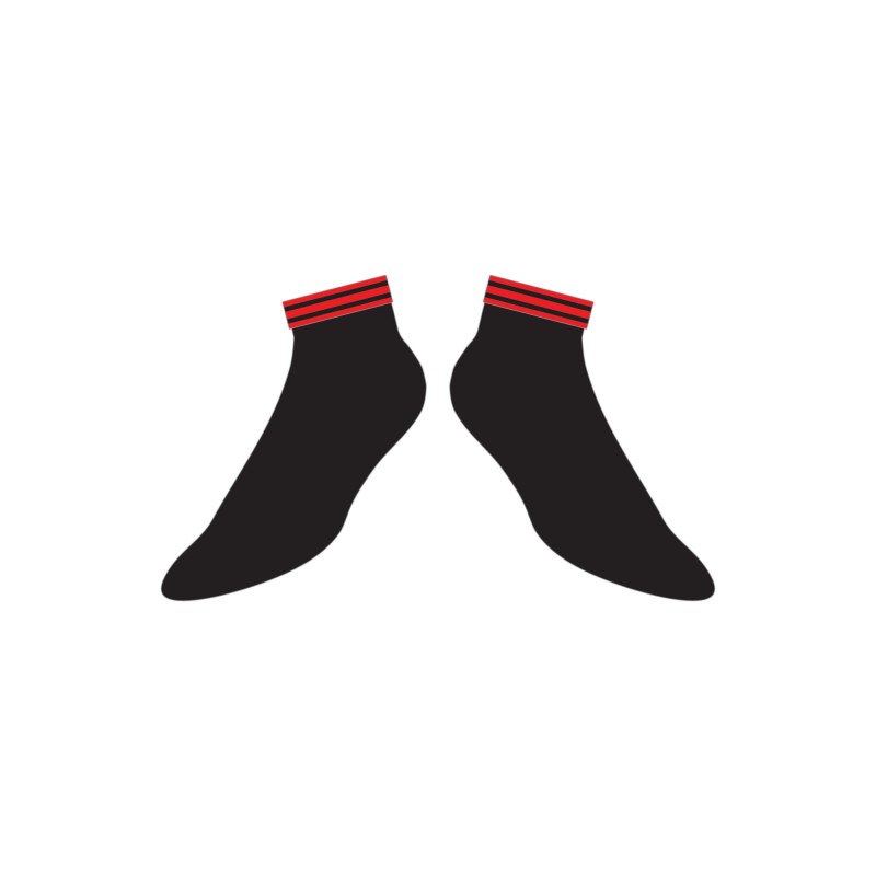 Accessories Socks Ankle Sock