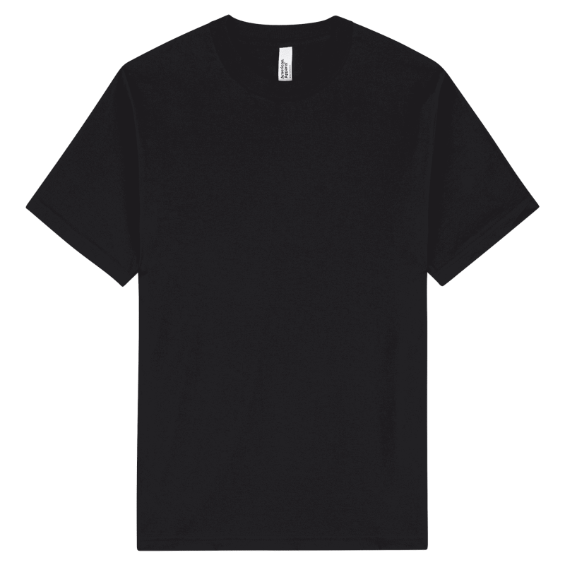 American Apparel Unisex CVC Short Sleeve T-Shirt