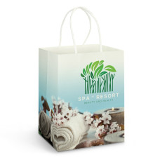 Large Paper Carry Bag - Full Colour Large Paper Carry Bag - Full Colour