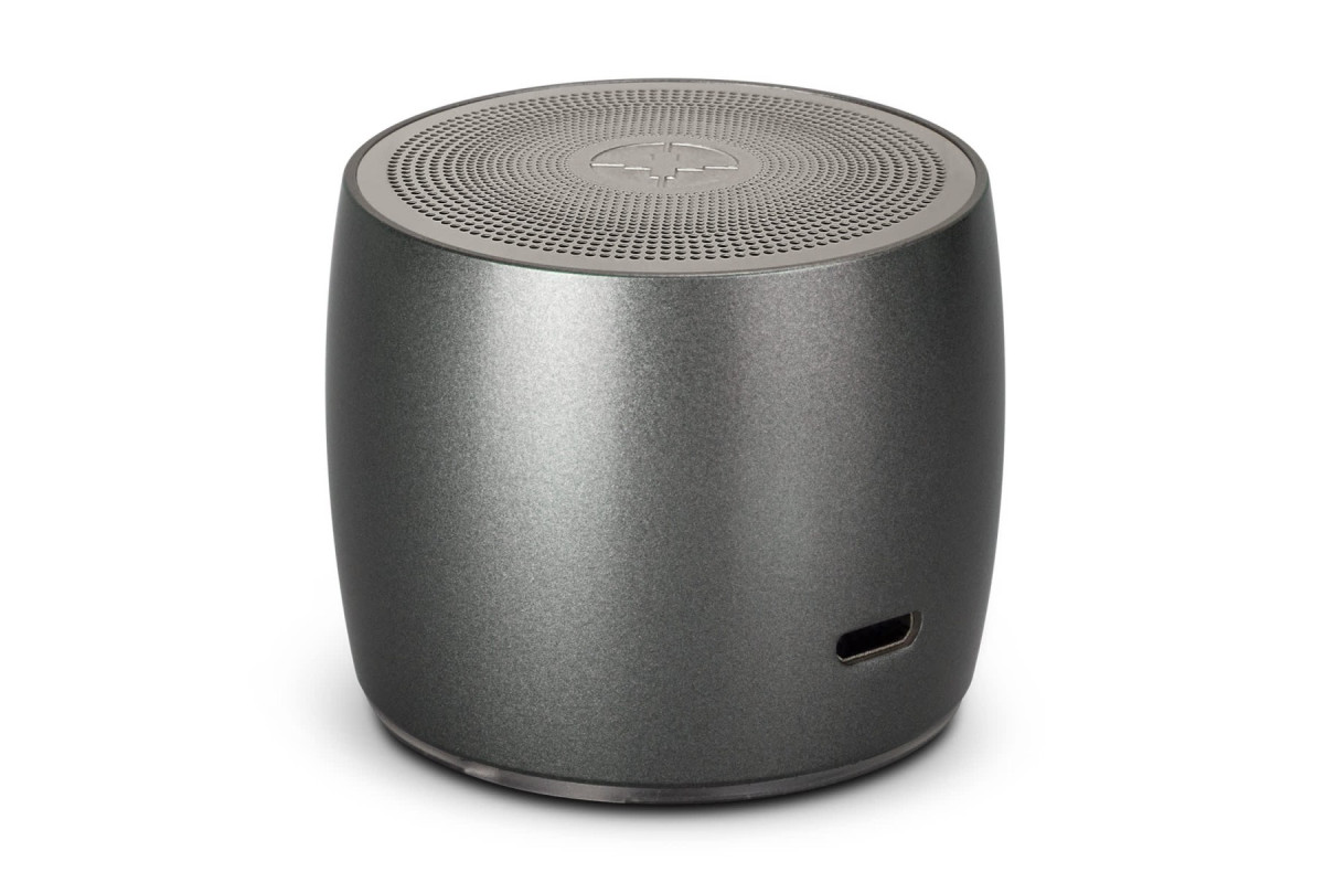 Swiss Peak Bass Speaker