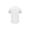 Oasis Ladies Plain Short Sleeve Shirt