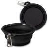 Silicone Collapsible Pet Bowl Silicone Collapsible Pet Bowl