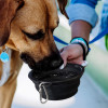 Silicone Collapsible Pet Bowl Silicone Collapsible Pet Bowl